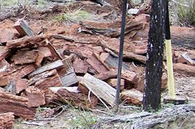 Wood Used by Roam'in Pizza Brisbane